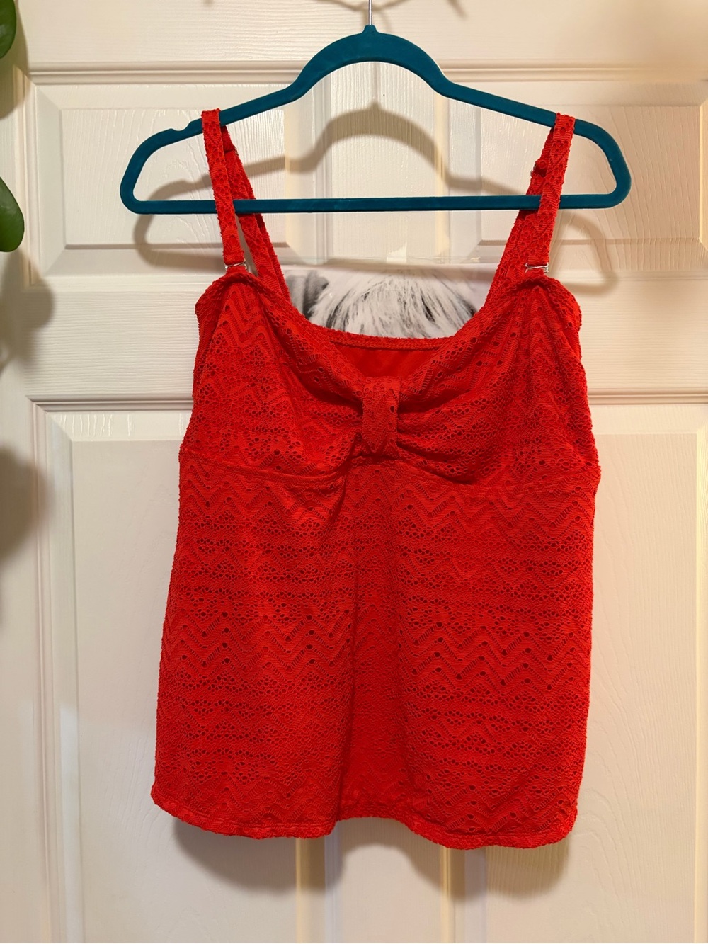 Catalina Red Lace Tie-Front Camisole